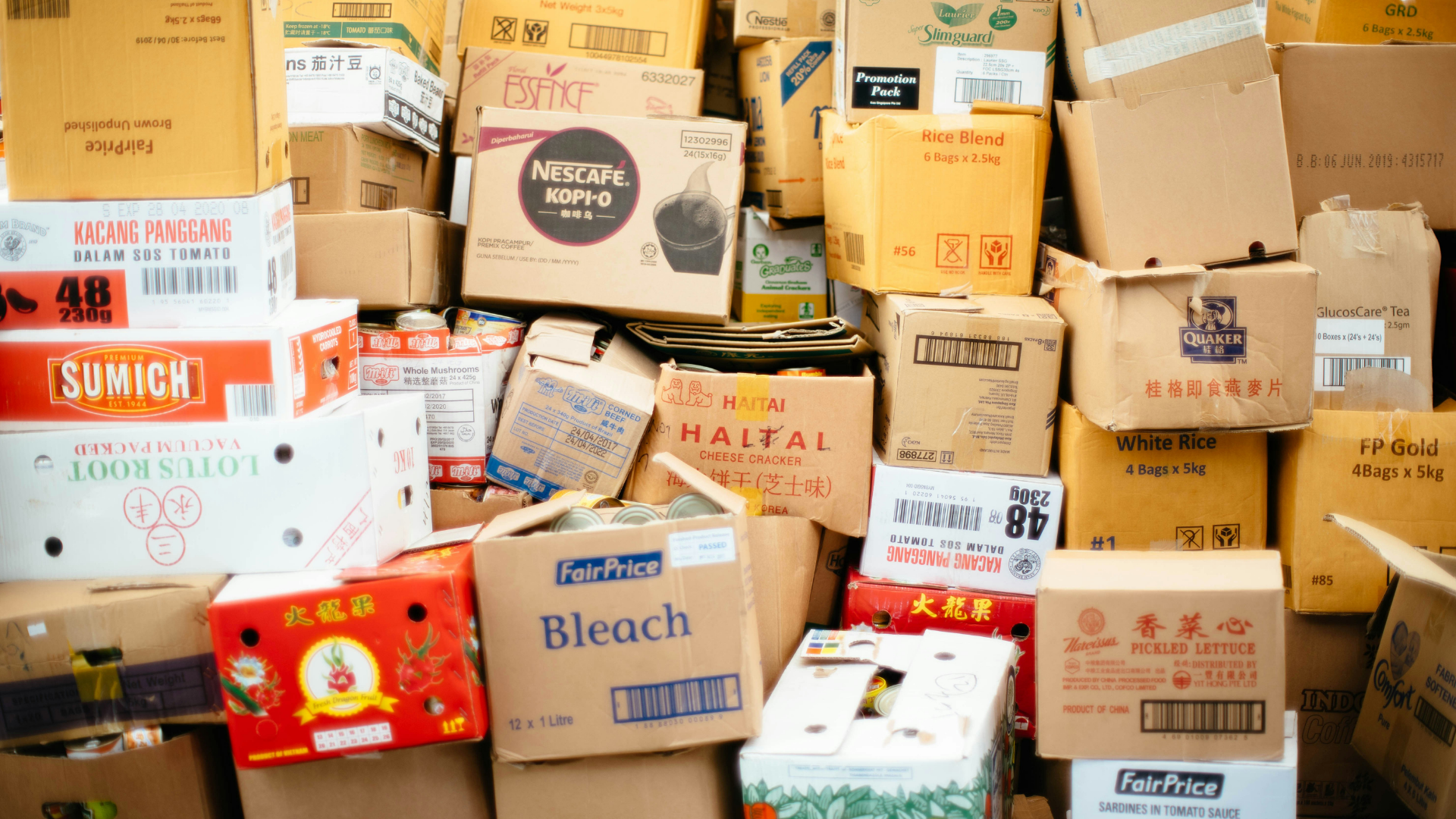 Wie lagert man Pokémon Karten richtig? Schutz für langfristigen Wert